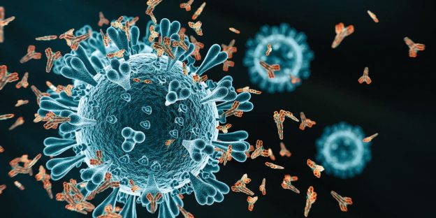 Easy Polyclonal Antibody Development Service